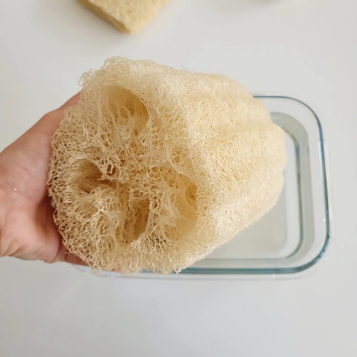 Zeero Kabak Lifi Banyo Süngeri - Görsel 2