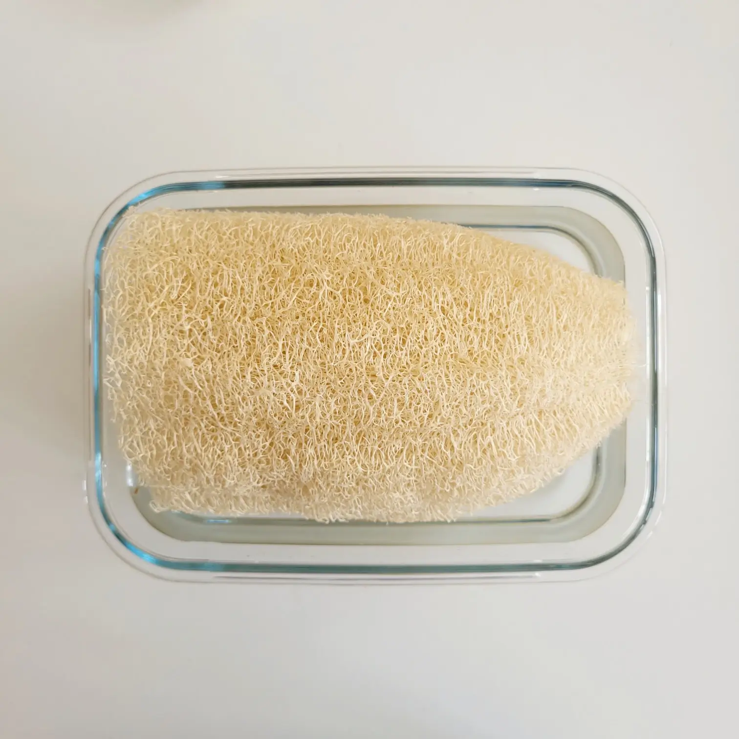 Zeero Kabak Lifi Banyo Süngeri - Görsel 3