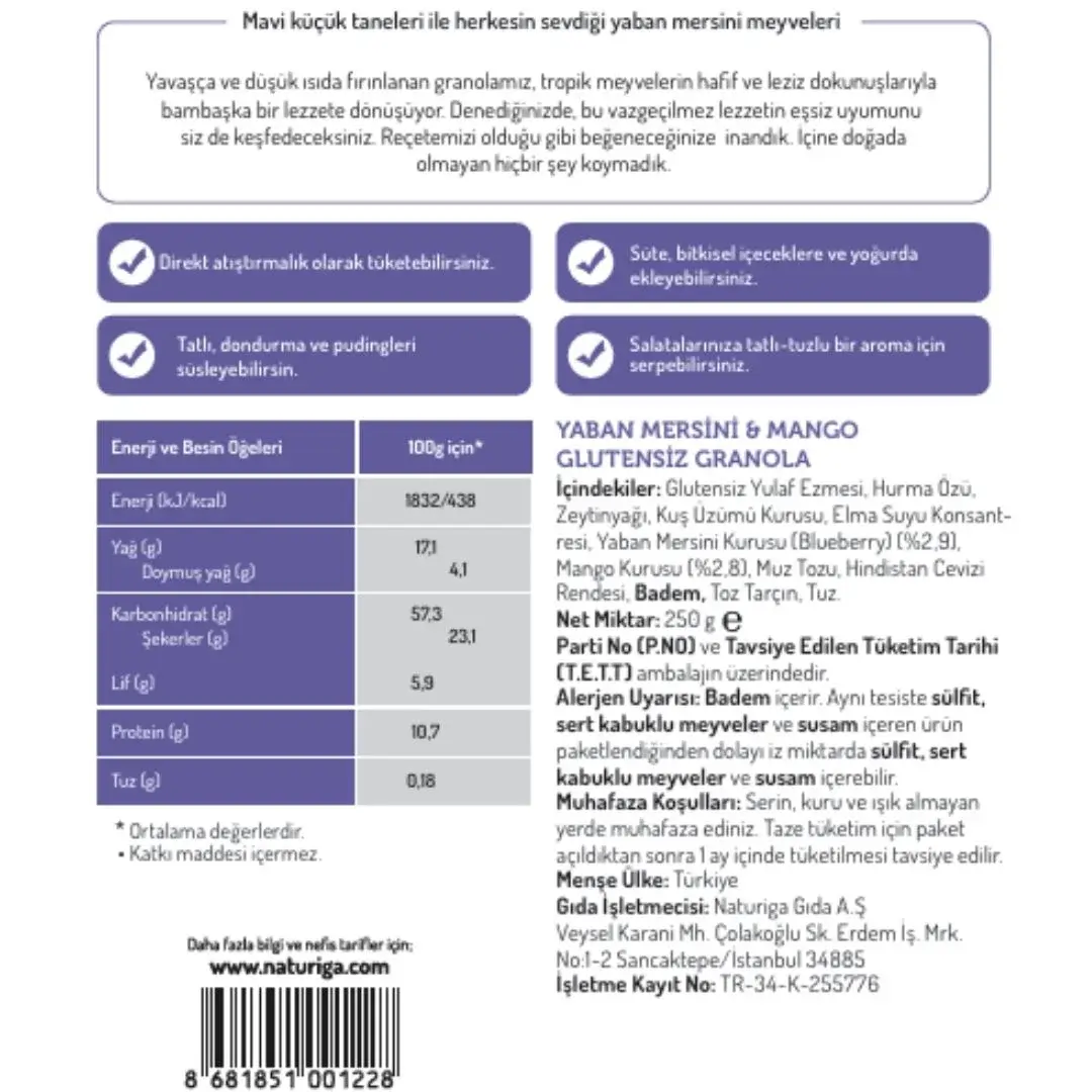 Naturiga Glutensiz Yaban mersini & Mango Granola(250 gr) - Görsel 2