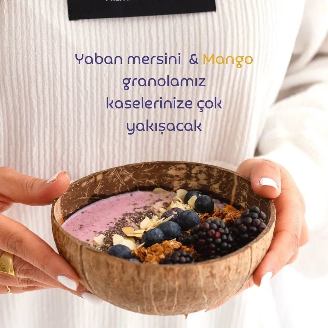 Naturiga Glutensiz Yaban mersini & Mango Granola(250 gr) - Görsel 4