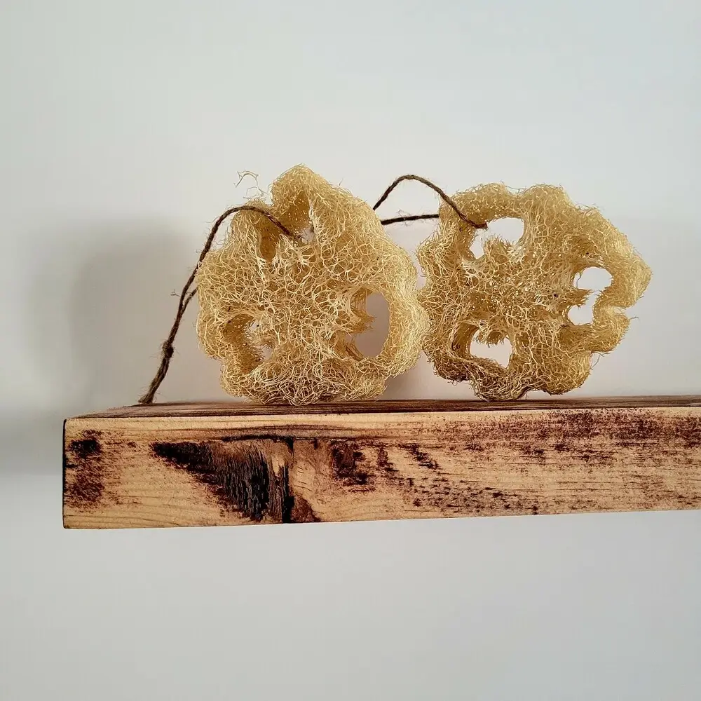 Zeero Kabak Lifi Bulaşık Süngeri 2'li